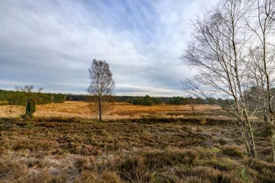 Vakantiebungalow De Schaapskooi Epe Extérieur photo